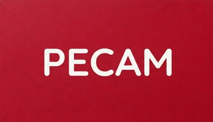 Pecam